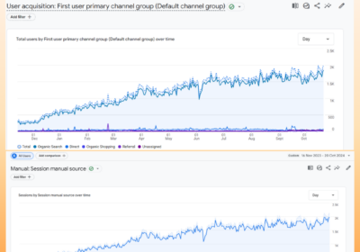 Google Analytics Performance